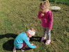 IMG_20231005_112321